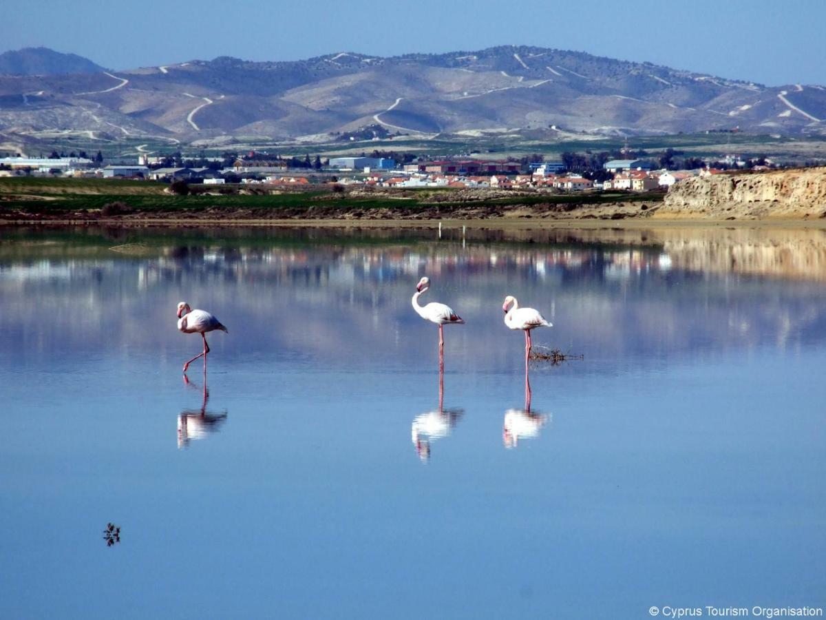 Blue Bay Beach House Larnaca Esterno foto
